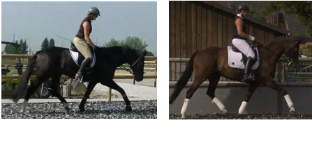 bei Ankunft nach 1 Jahr