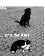 Wachpersonal  Ole      ....und die Katz ;)